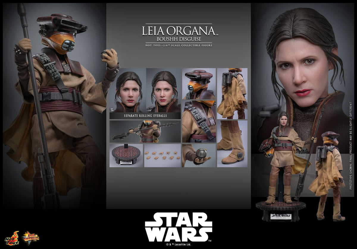Hot Toys 1/6 Leia Organa (Boushh Disguise) - Return of the Jedi image 4