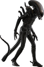 Hot Toys Alien Movie Masterpiece Action Figure 1/6 Big Chap - Alien 36cm