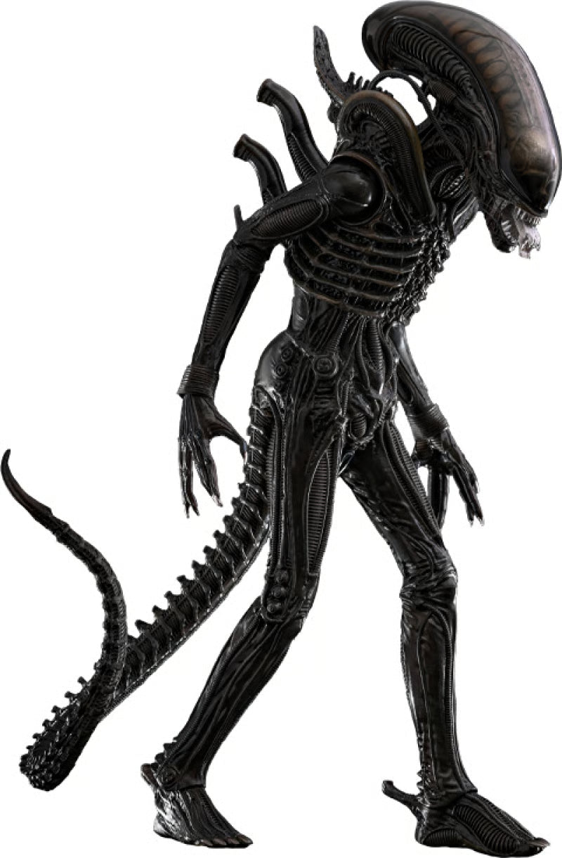 Hot Toys Alien Movie Masterpiece Action Figure 1/6 Big Chap - Alien 36cm