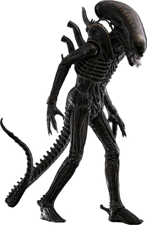 Hot Toys Alien Movie Masterpiece Action Figure 1/6 Big Chap - Alien 36cm