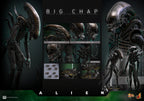 Hot Toys Alien Movie Masterpiece Action Figure 1/6 Big Chap - Alien 36cm