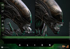 Hot Toys Alien Movie Masterpiece Action Figure 1/6 Big Chap - Alien 36cm