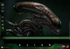Hot Toys Alien Movie Masterpiece Action Figure 1/6 Big Chap - Alien 36cm