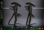 Hot Toys Alien Movie Masterpiece Action Figure 1/6 Big Chap - Alien 36cm