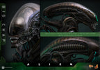 Hot Toys Alien Movie Masterpiece Action Figure 1/6 Big Chap - Alien 36cm