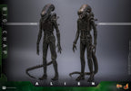 Hot Toys Alien Movie Masterpiece Action Figure 1/6 Big Chap - Alien 36cm