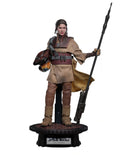 Hot Toys 1/6 Leia Organa (Boushh Disguise) - Return of the Jedi image 0