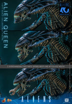 Hot Toys 1/6 Alien Queen - Aliens 40th Anniversary