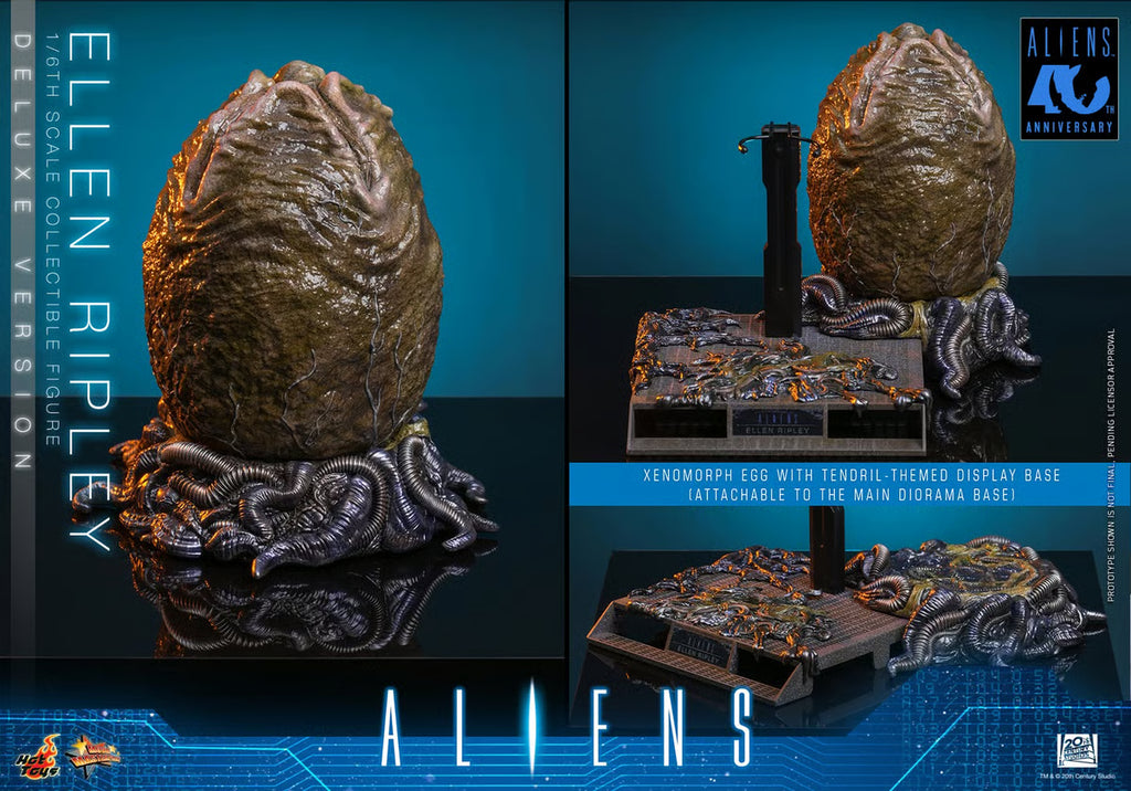 Hot Toys 1/6 Ellen Ripley Deluxe Version - Aliens