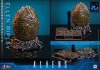 Hot Toys 1/6 Ellen Ripley Deluxe Version - Aliens
