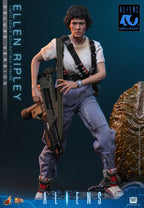 Hot Toys 1/6 Ellen Ripley Deluxe Version - Aliens